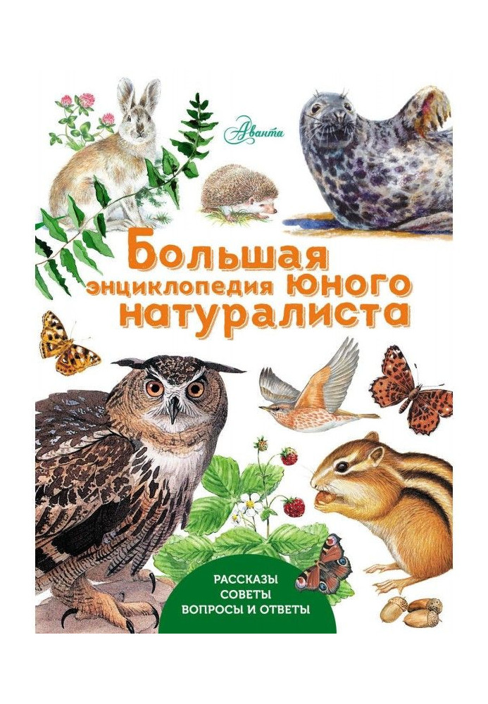 Book Large encyclopaedia of young naturalist