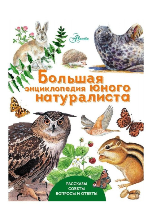 Book Large encyclopaedia of young naturalist