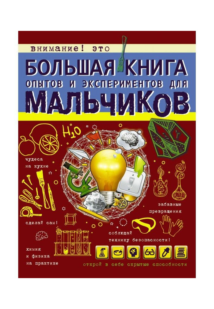Book Large book of experiments and experiments for boys
