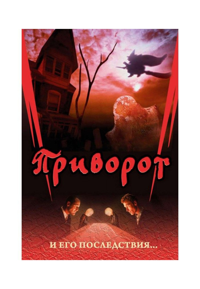 Книга Приворот и его последствия