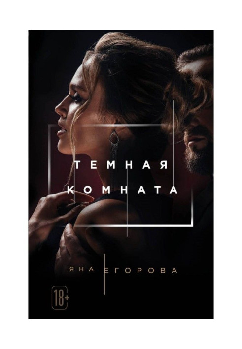 Книга Темная комната