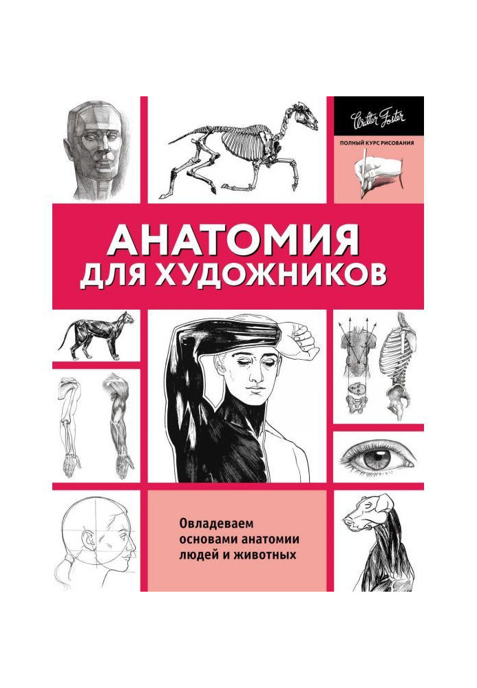 Книга Анатомія для художників