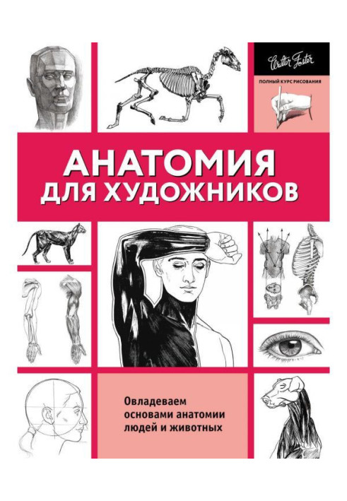 Книга Анатомія для художників