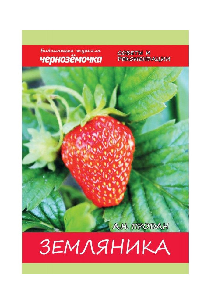 Book Strawberry. Experience of growing