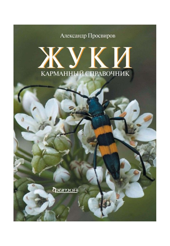 Книга Жуки