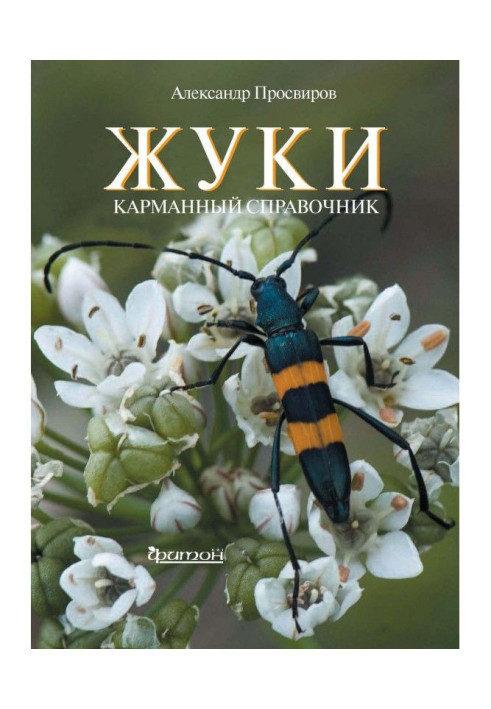 Книга Жуки