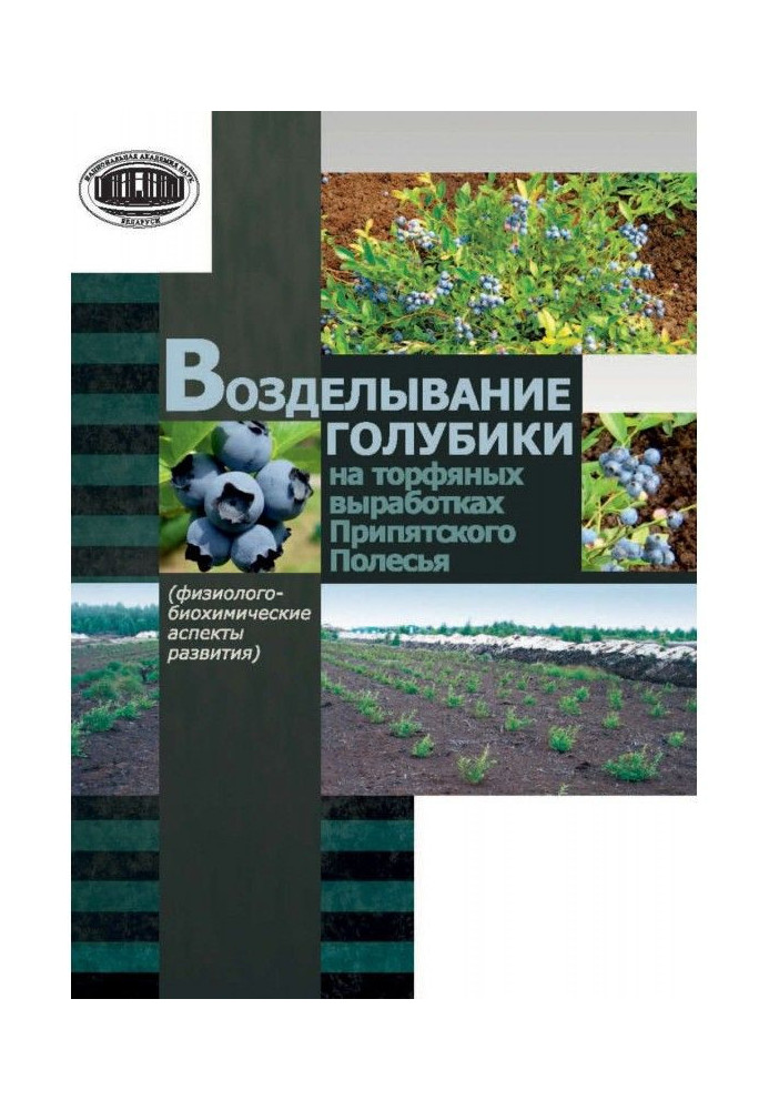 Книга Возделывание голубики на торфяных выработках Припятского Полесья