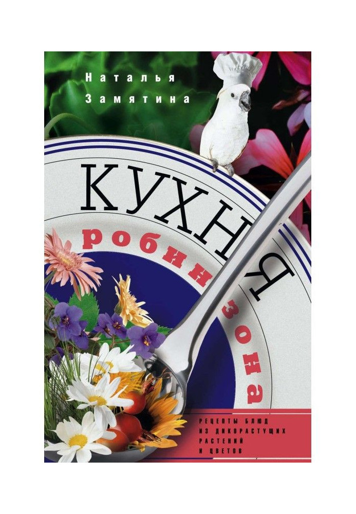 Book Kitchen of Robinzone. Recipes of dishes from plants and colors
