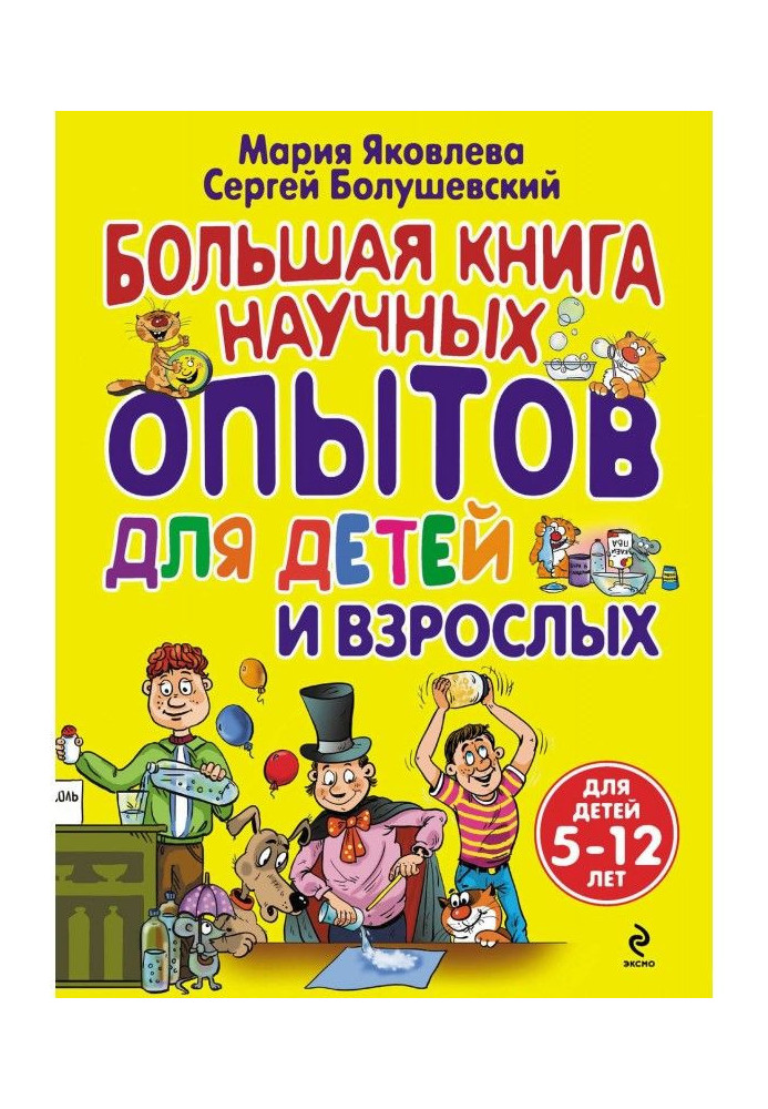 Book Large book of scientific experiments for children and adults