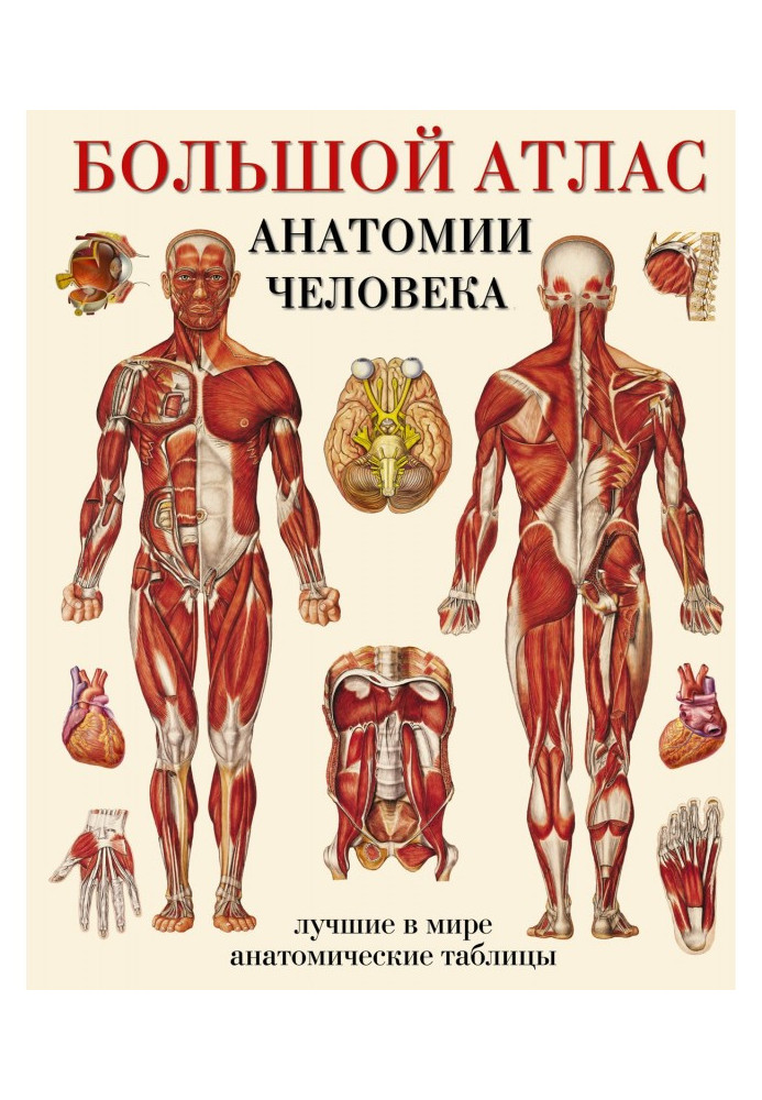 Book Large atlas of anatomy of man. The best in the world anatomic tables