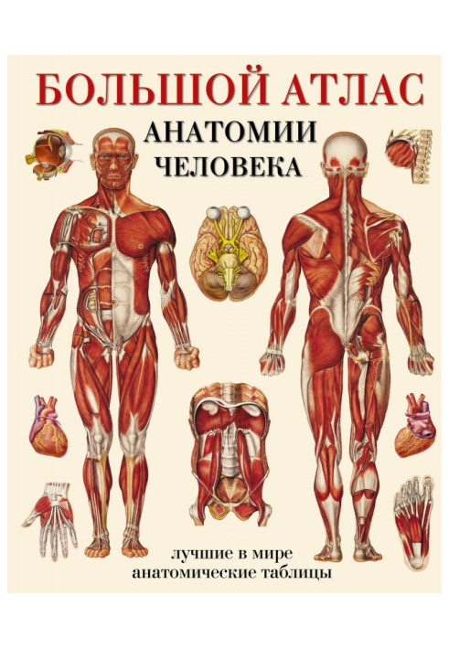 Book Large atlas of anatomy of man. The best in the world anatomic tables