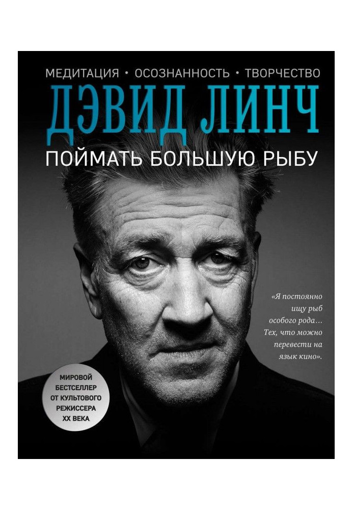 Книга Поймать большую рыбу. Медитация, осознанность, творчество