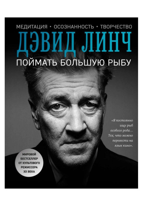 Книга Поймать большую рыбу. Медитация, осознанность, творчество