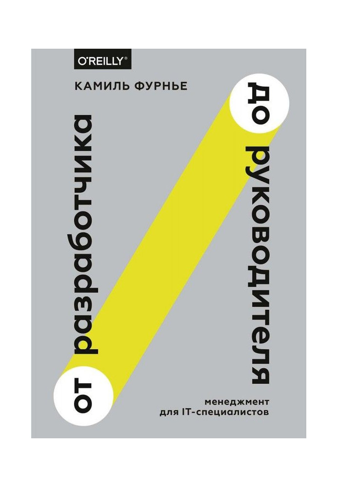 Book From a developer to the leader