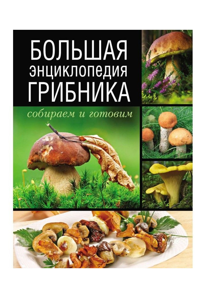 Книга Большая энциклопедия грибника. Собираем и готовим
