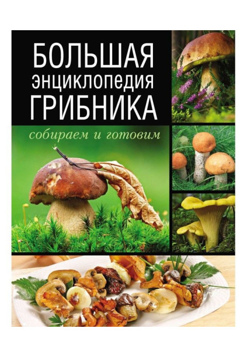 Book Large encyclopaedia of mushroomer. We collect and prepare