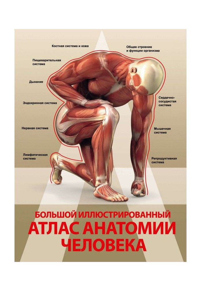 Book Large illustrated atlas of anatomy of man