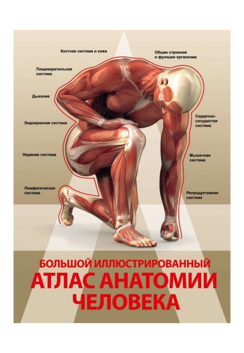 Book Large illustrated atlas of anatomy of man