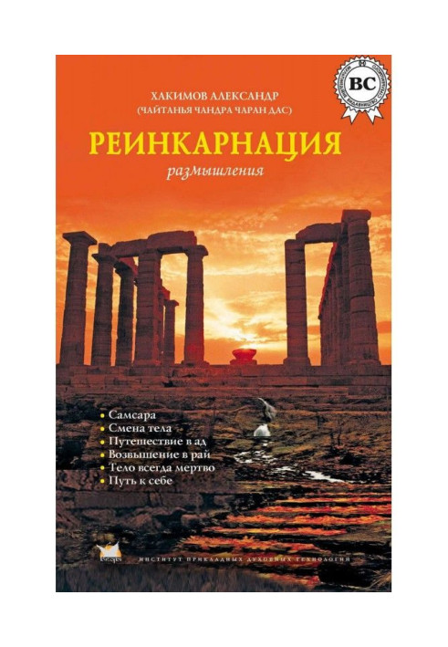Книга Реинкарнация. Размышления