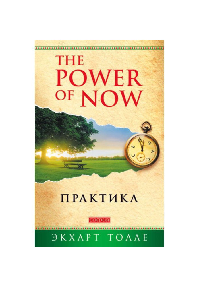 Книга The Power of Now. Практика