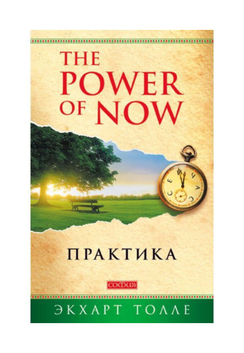 Книга The Power of Now. Практика
