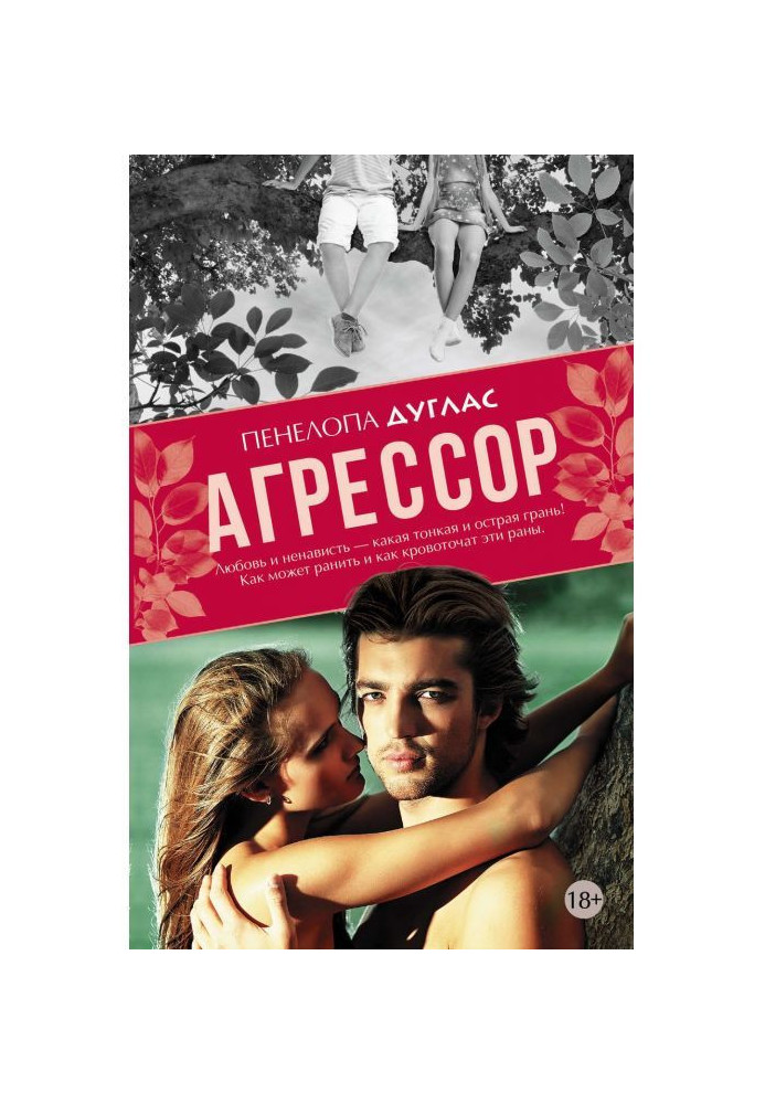 Book Aggressor