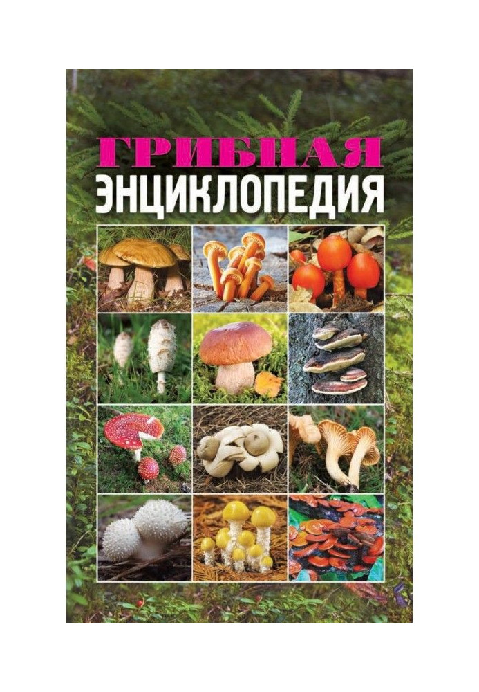 Book Mushroom encyclopaedia