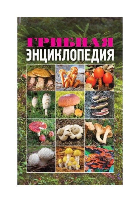 Book Mushroom encyclopaedia