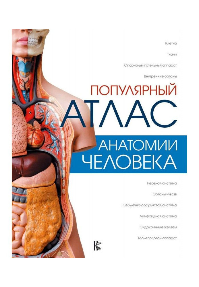 Книга Популярный атлас анатомии человека