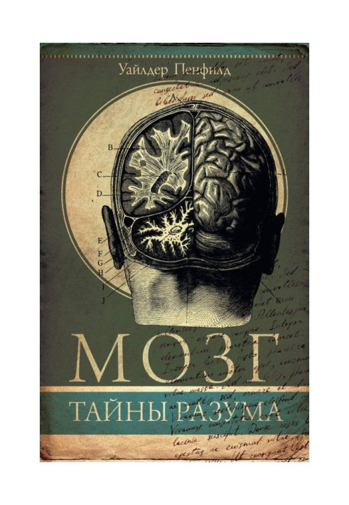 Книга Мозок. Таємниці розуму