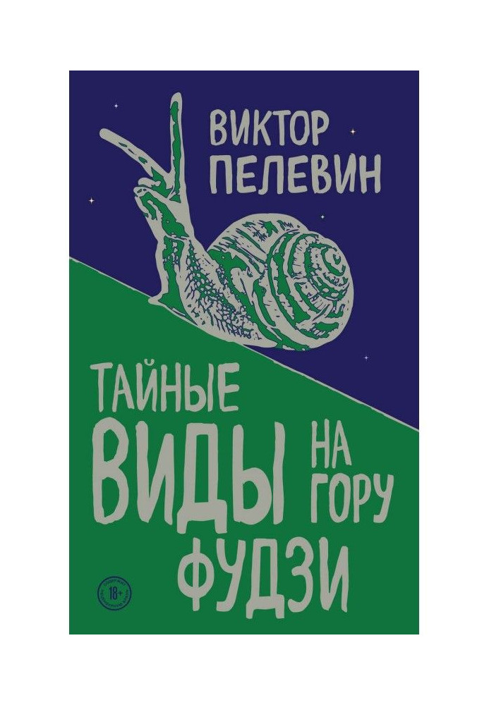 Книга Тайные виды на гору Фудзи