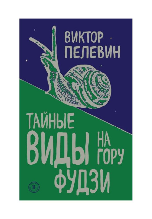 Книга Тайные виды на гору Фудзи