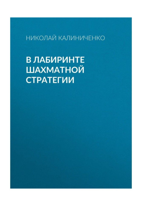 Book In the labyrinth of chess strategy