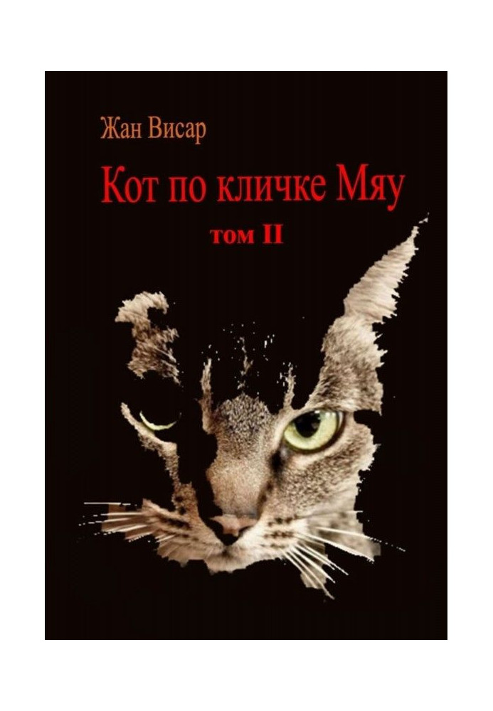 Book A cat named Meow. Volume II