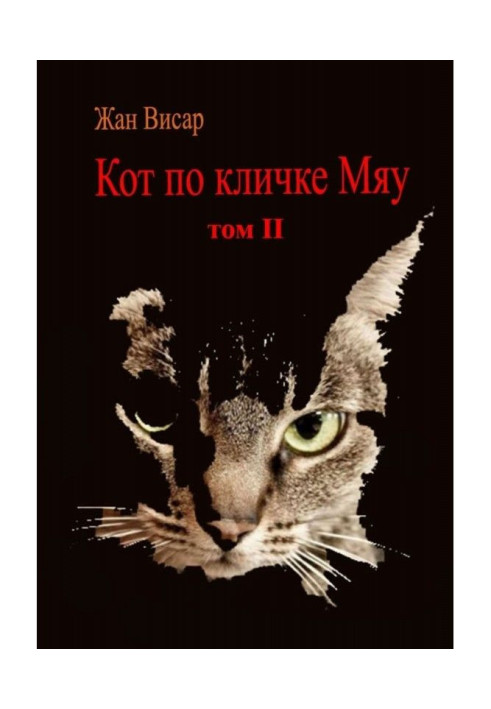 Книга Кот по кличке Мяу. Том II