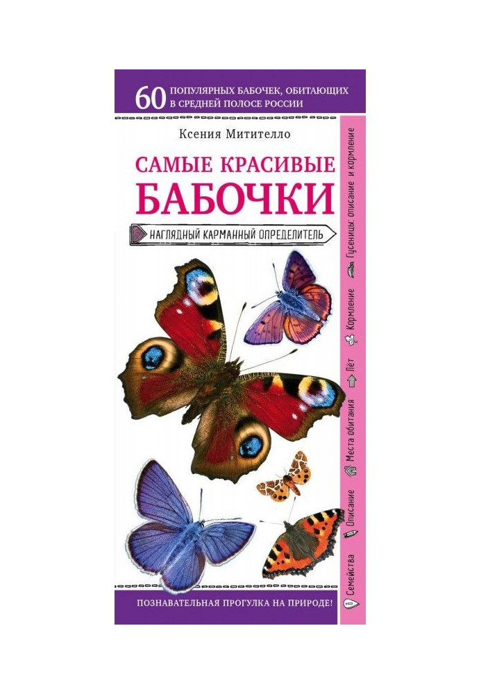 Книга Метелики. Наочний кишеньковий визначник