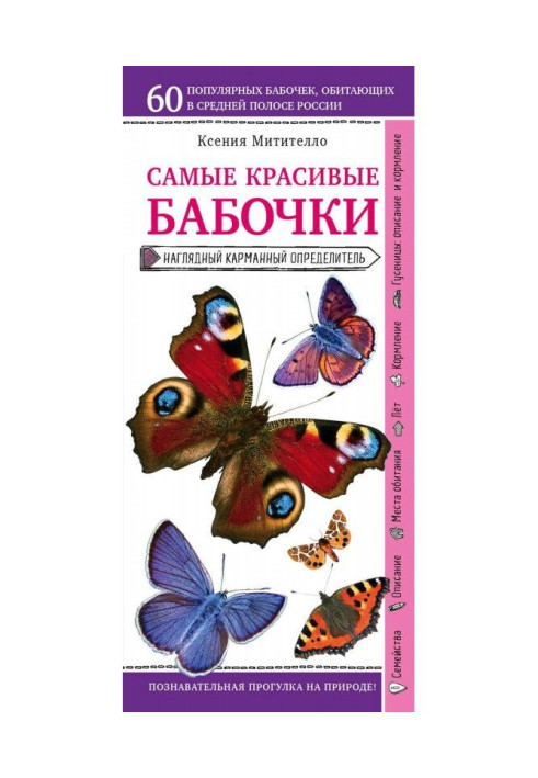 Книга Метелики. Наочний кишеньковий визначник