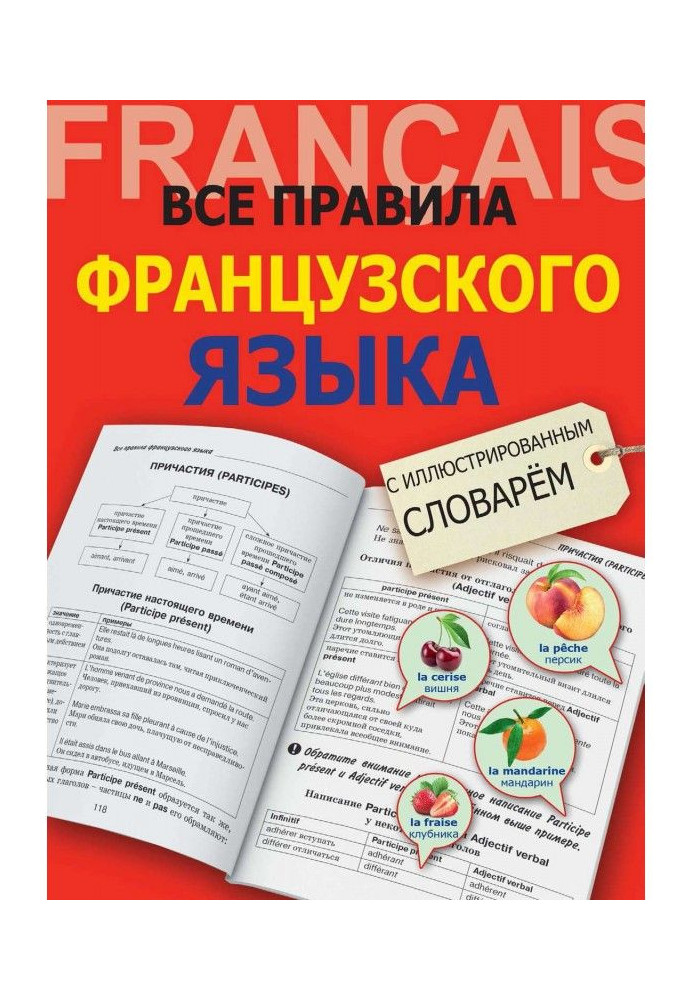 Book All rules of French with the illustrated dictionary