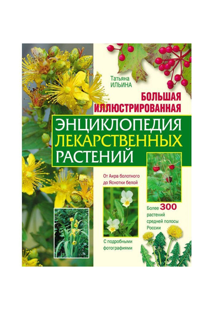 Book Large illustrated encyclopaedia of medical plants