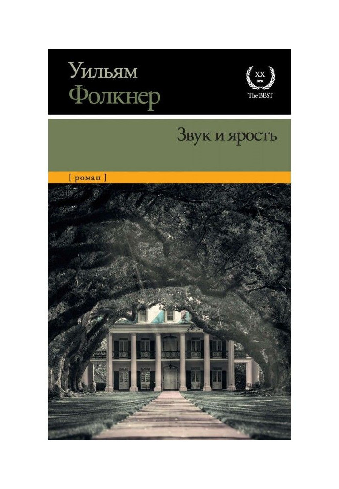 Book Sound and fury