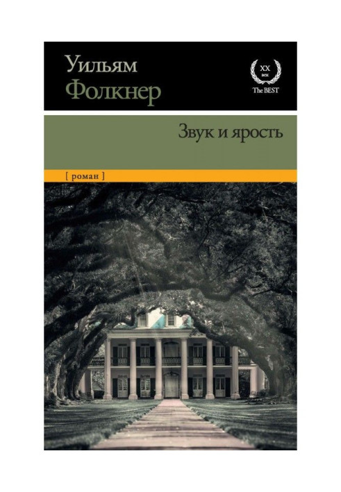 Книга Звук і лють