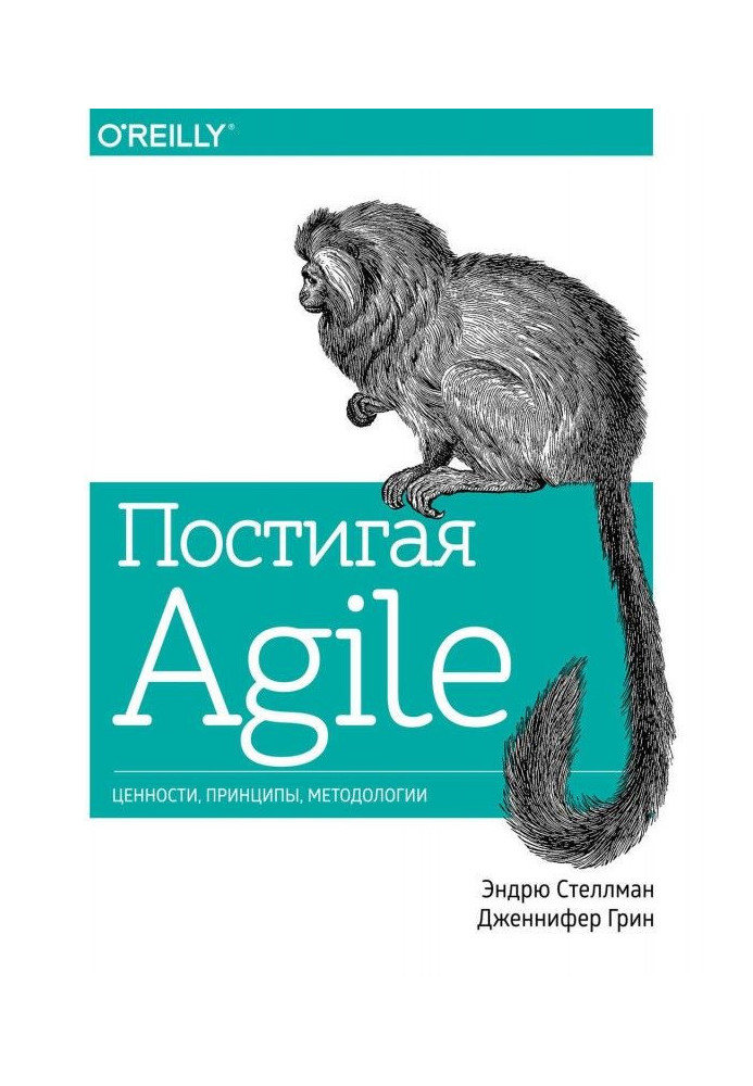 Книга Постигая Agile