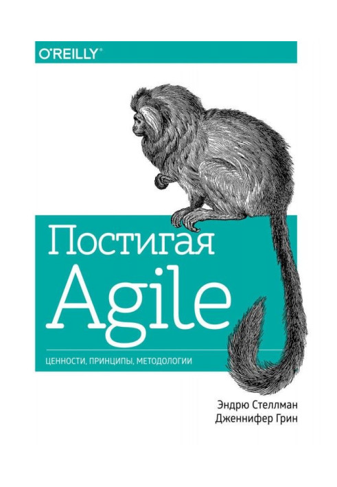 Книга Постигая Agile