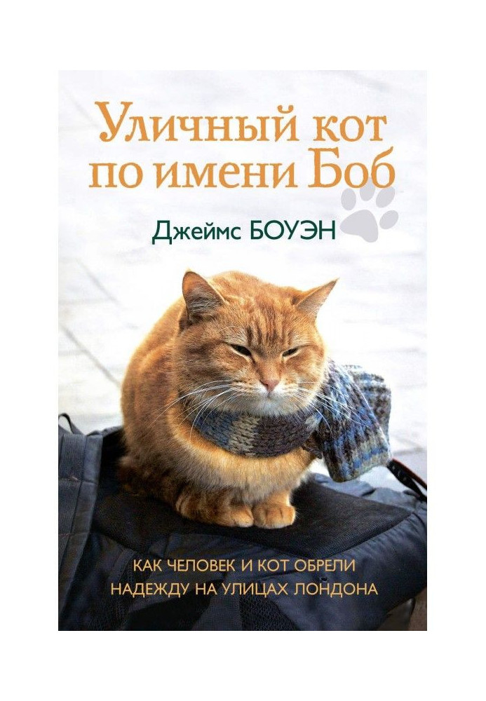 Book A street cat named Bob. How man and cat found hope on the streets of London