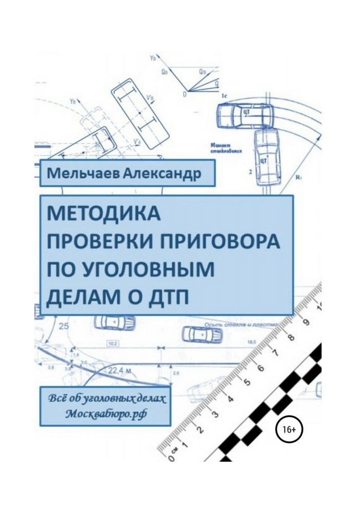Книга Методика перевірки вироку у кримінальній справі про ДТП