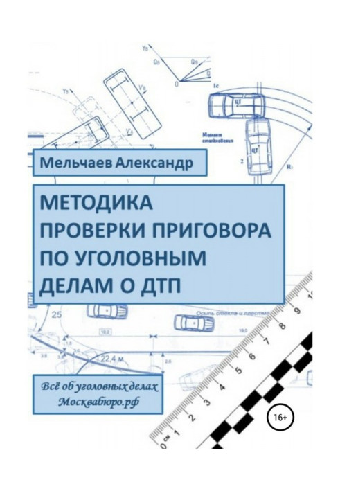 Книга Методика перевірки вироку у кримінальній справі про ДТП