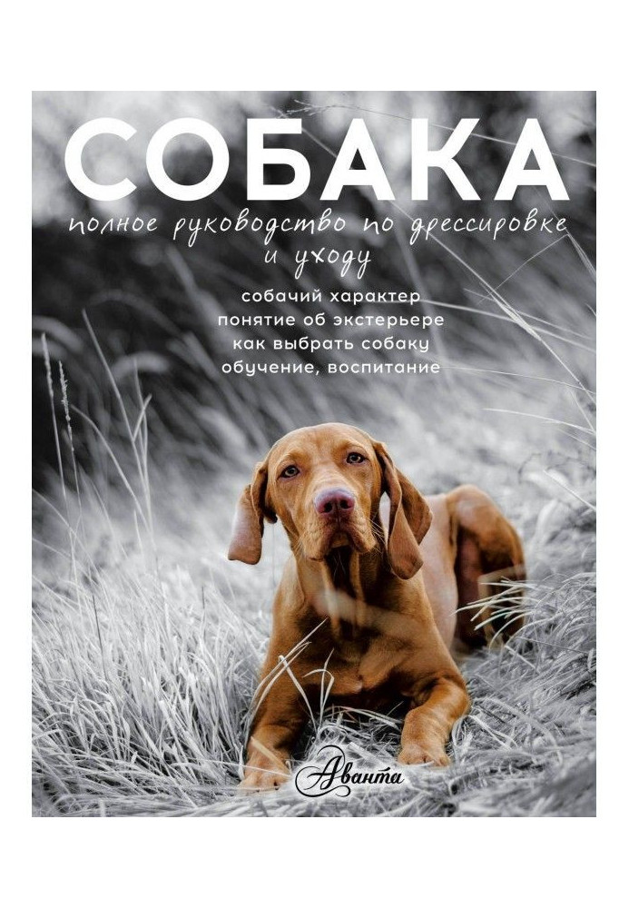 Book Cобака. Complete guidance on education and care