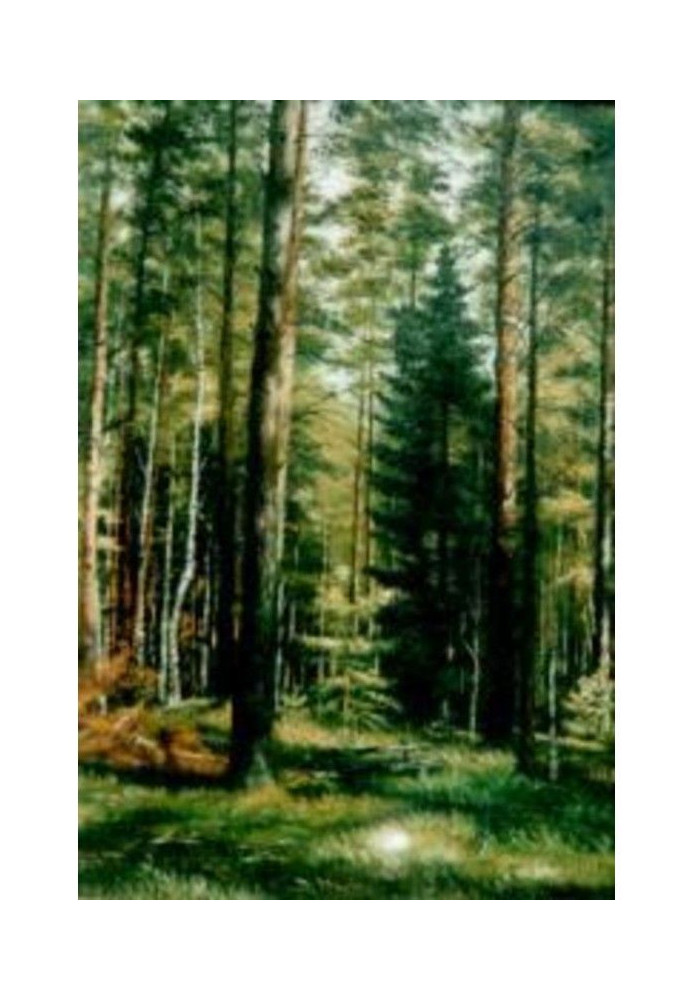 Book The forest is a bread-winner