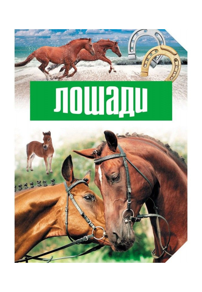 Book Horses