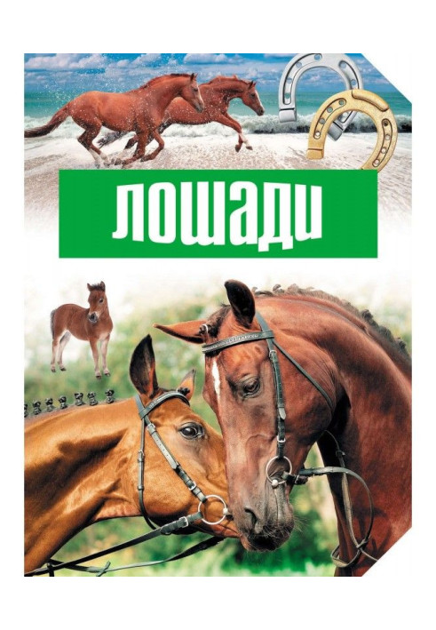 Книга Коні